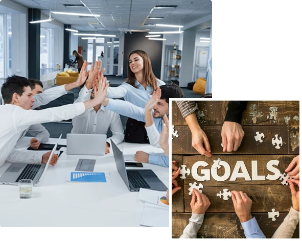 Liverpool Vision collaborative goals